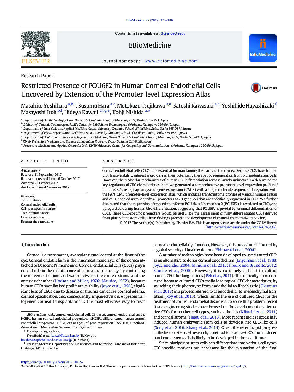 Restricted Presence of POU6F2 in Human Corneal Endothelial Cells Uncovered by Extension of the Promoter-level Expression Atlas