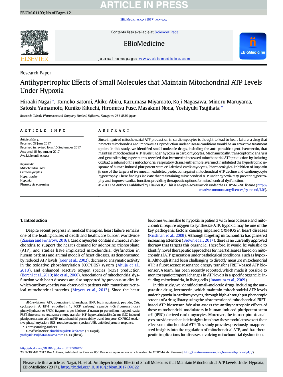 Antihypertrophic Effects of Small Molecules that Maintain Mitochondrial ATP Levels Under Hypoxia