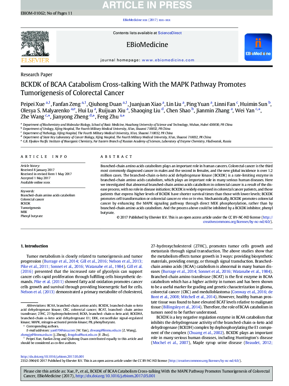 BCKDK of BCAA Catabolism Cross-talking With the MAPK Pathway Promotes Tumorigenesis of Colorectal Cancer