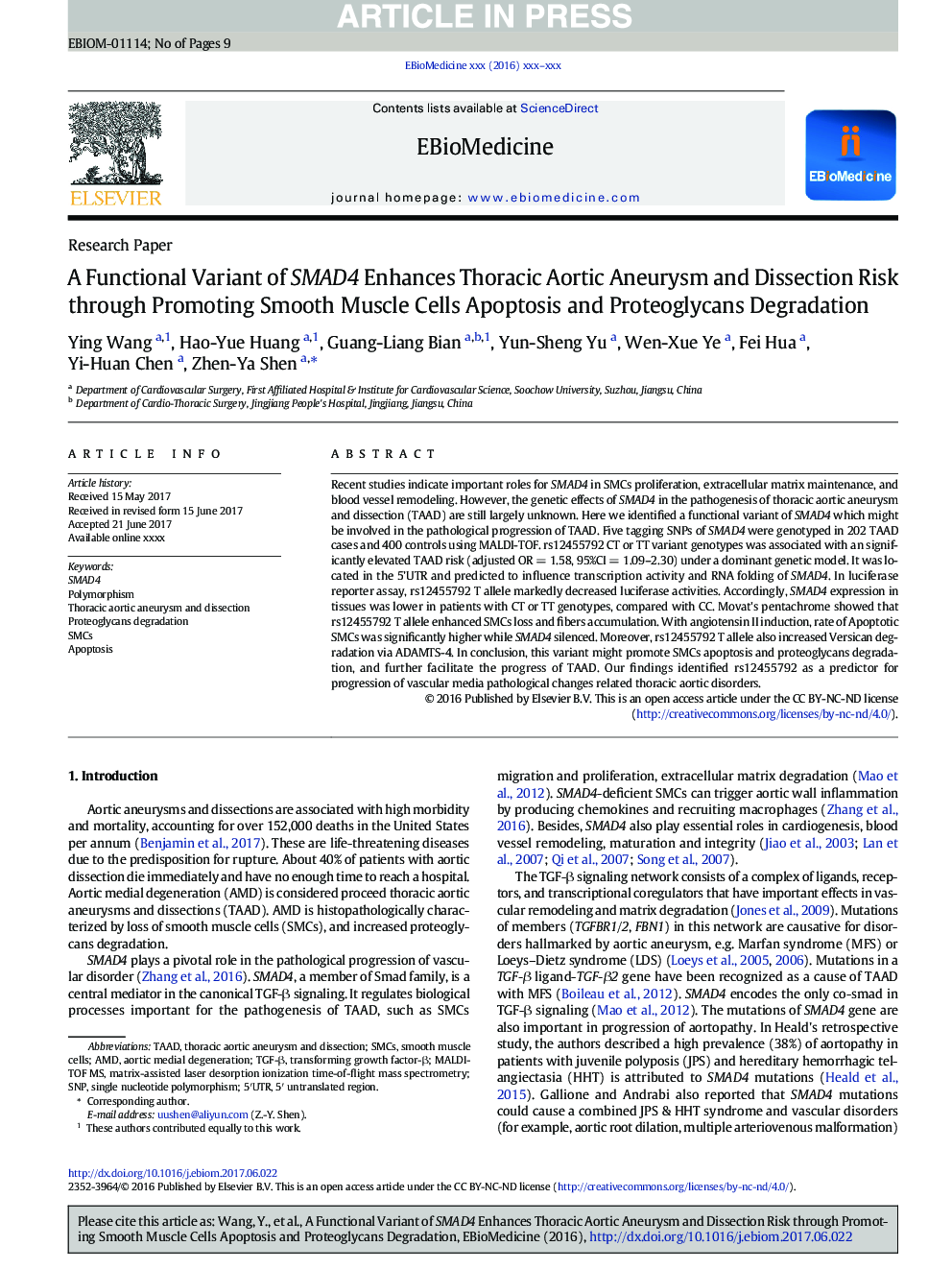 A Functional Variant of SMAD4 Enhances Thoracic Aortic Aneurysm and Dissection Risk through Promoting Smooth Muscle Cell Apoptosis and Proteoglycan Degradation