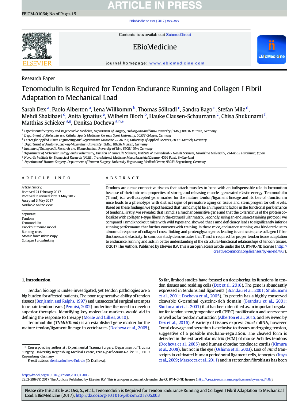 Tenomodulin is Required for Tendon Endurance Running and Collagen I Fibril Adaptation to Mechanical Load