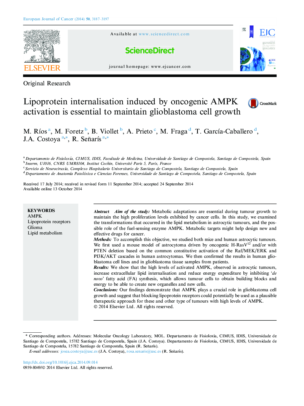 Lipoprotein internalisation induced by oncogenic AMPK activation is essential to maintain glioblastoma cell growth