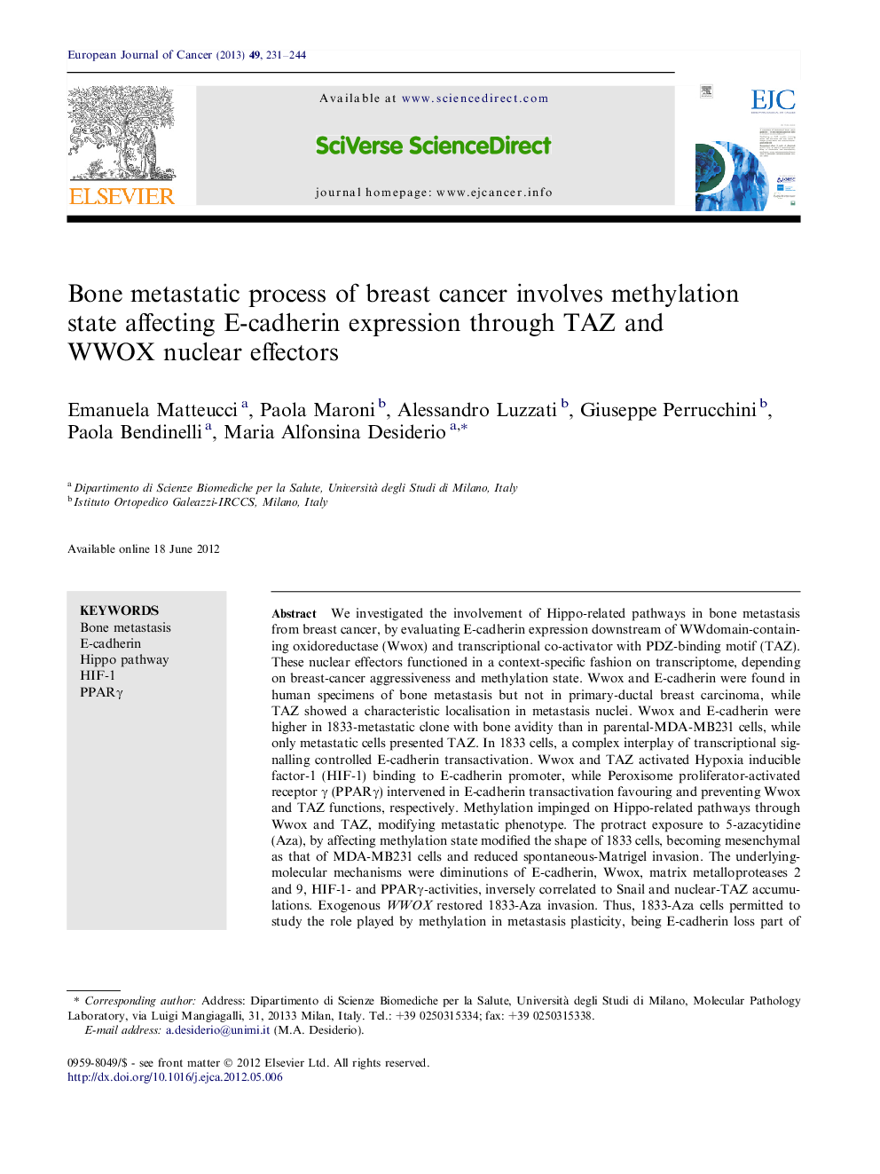 Bone metastatic process of breast cancer involves methylation state affecting E-cadherin expression through TAZ and WWOX nuclear effectors