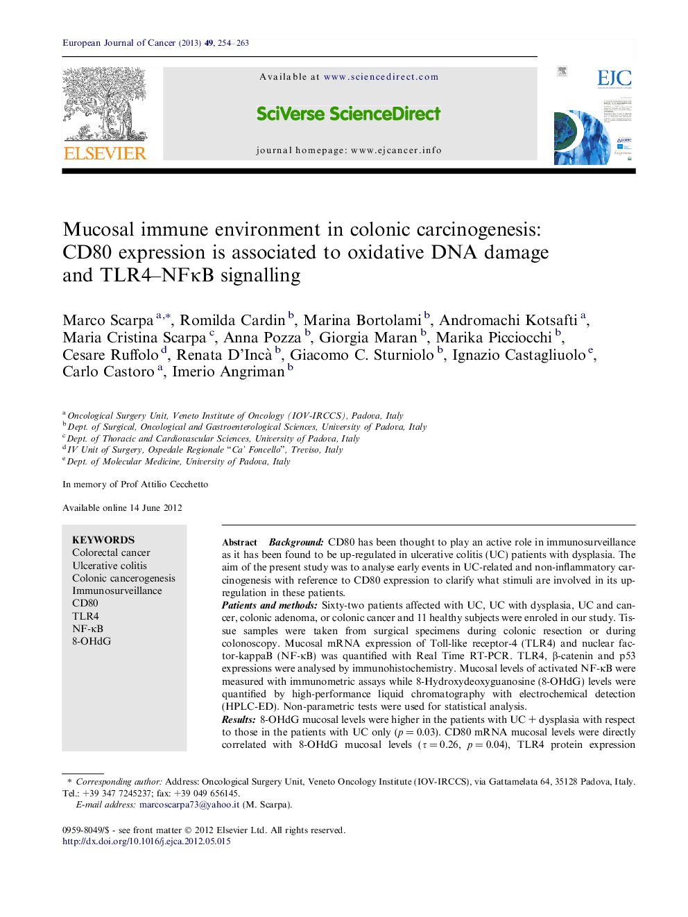 Mucosal immune environment in colonic carcinogenesis: CD80 expression is associated to oxidative DNA damage and TLR4-NFÎºB signalling