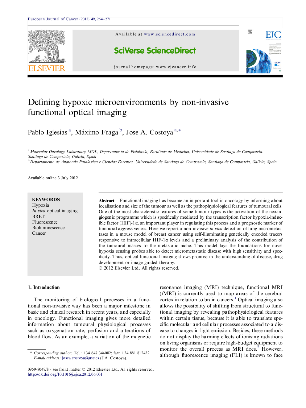 Defining hypoxic microenvironments by non-invasive functional optical imaging