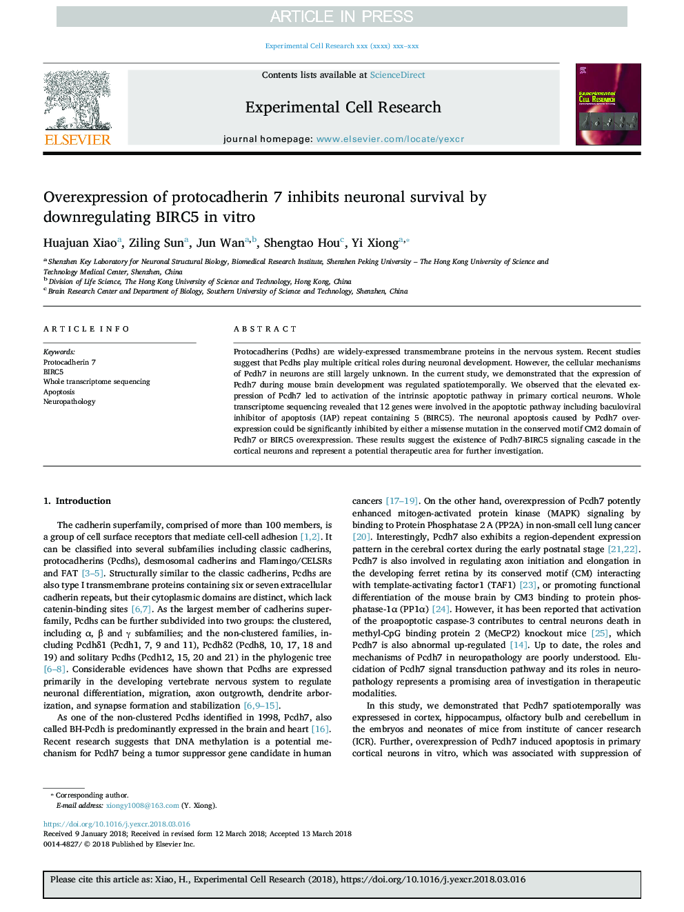 Overexpression of protocadherin 7 inhibits neuronal survival by downregulating BIRC5 in vitro