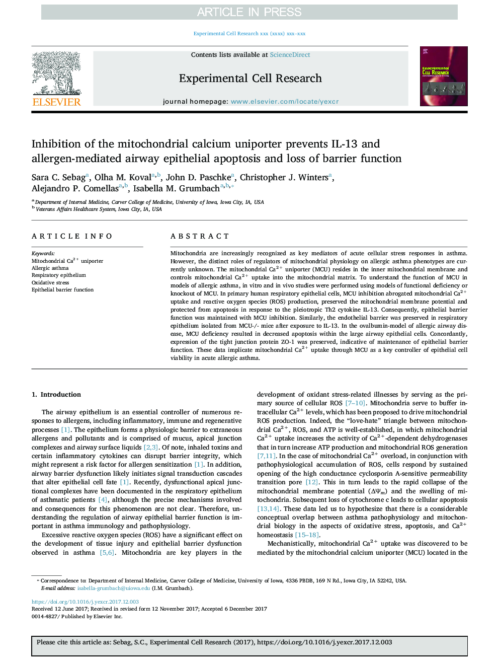 Inhibition of the mitochondrial calcium uniporter prevents IL-13 and allergen-mediated airway epithelial apoptosis and loss of barrier function