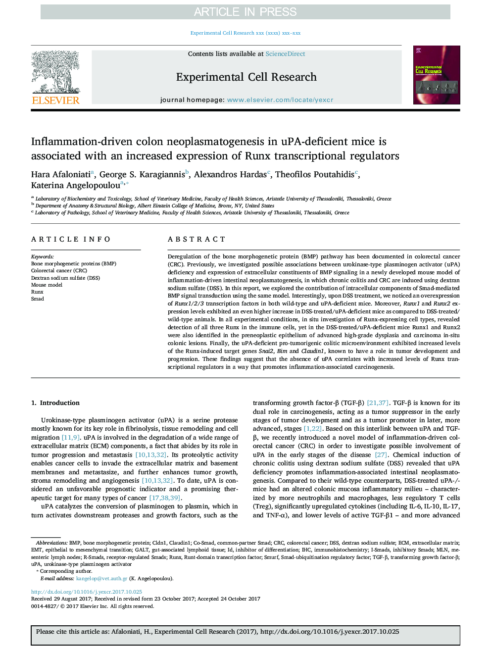 Inflammation-driven colon neoplasmatogenesis in uPA-deficient mice is associated with an increased expression of Runx transcriptional regulators