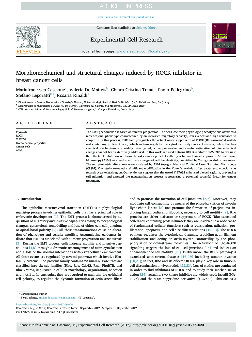 Morphomechanical and structural changes induced by ROCK inhibitor in breast cancer cells