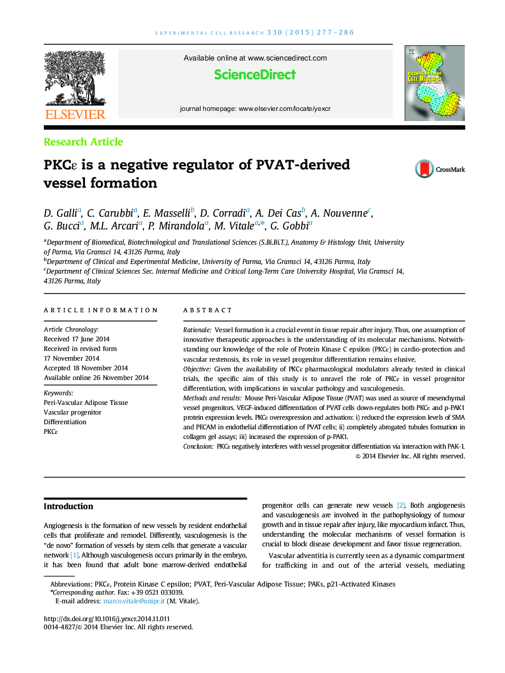 PKCÎµ is a negative regulator of PVAT-derived vessel formation