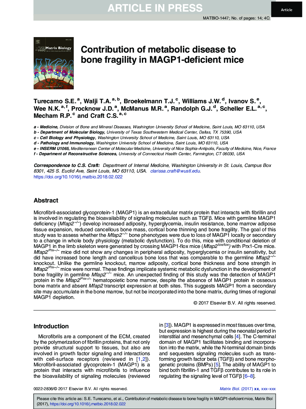 Contribution of metabolic disease to bone fragility in MAGP1-deficient mice