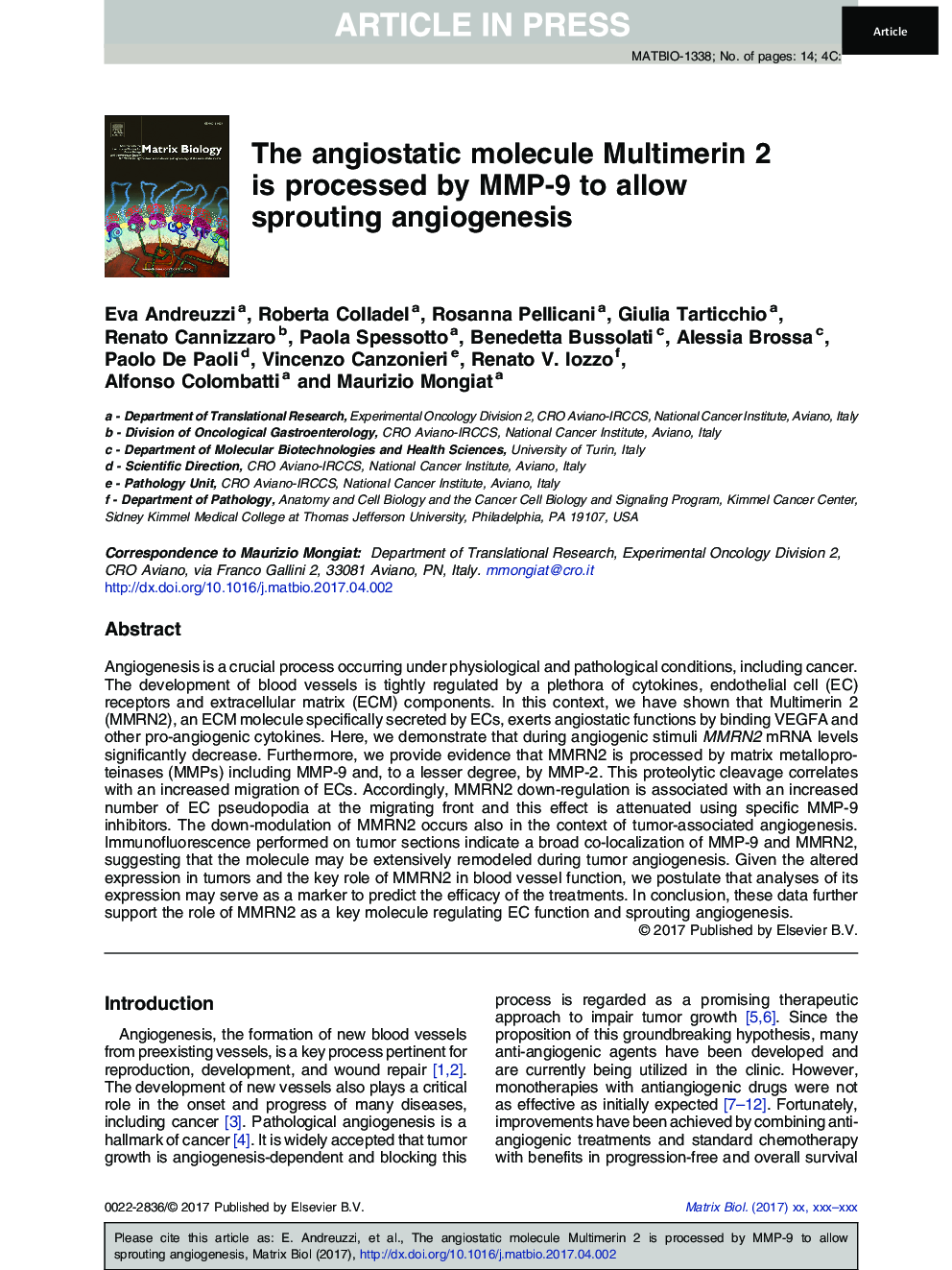 The angiostatic molecule Multimerin 2 is processed by MMP-9 to allow sprouting angiogenesis