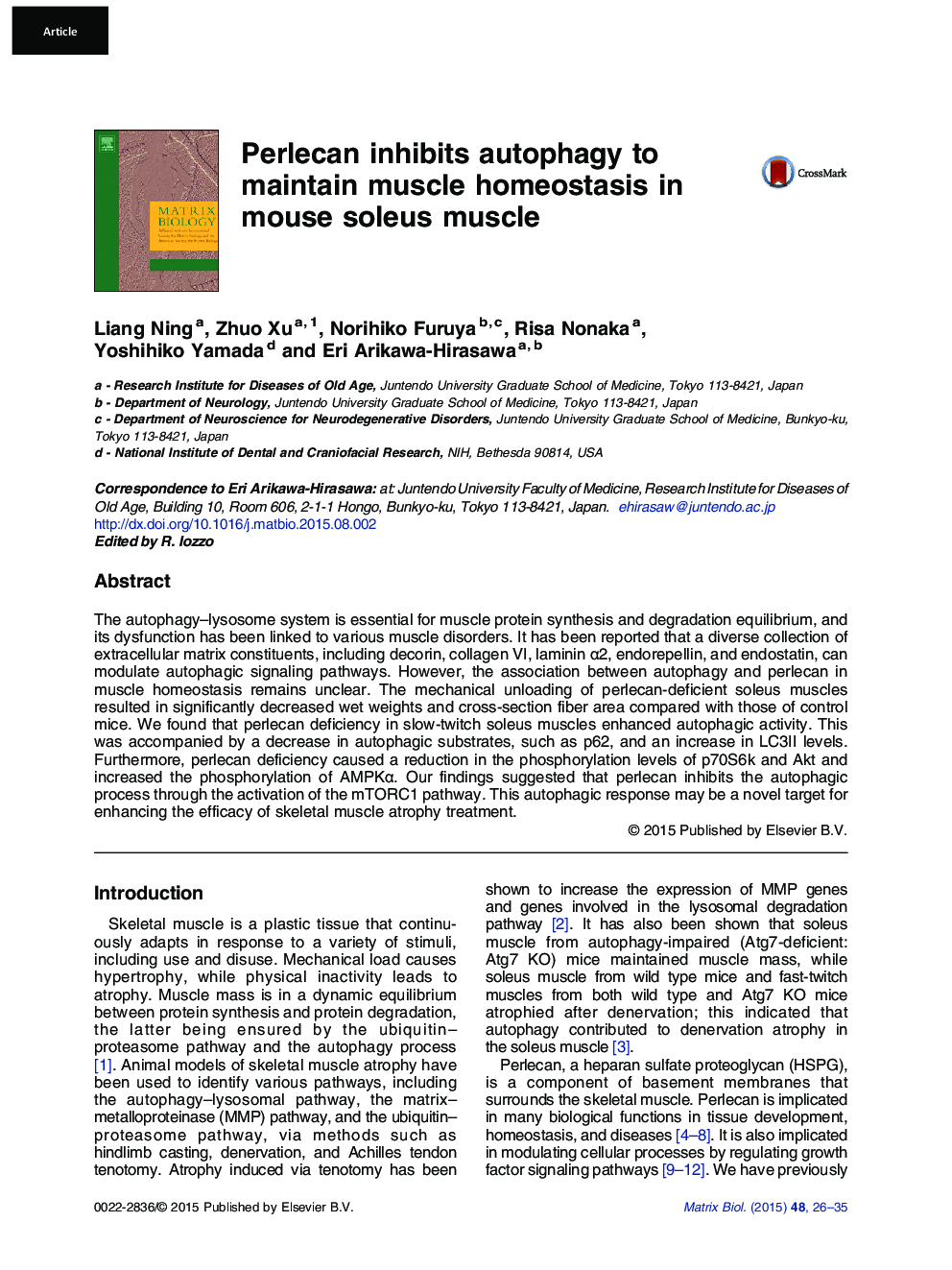 Perlecan inhibits autophagy to maintain muscle homeostasis in mouse soleus muscle