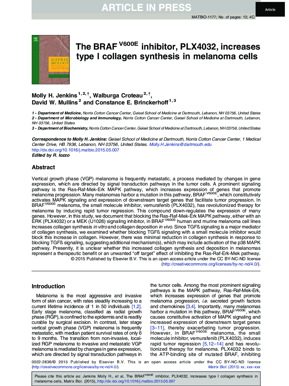 The BRAFV600E inhibitor, PLX4032, increases type I collagen synthesis in melanoma cells