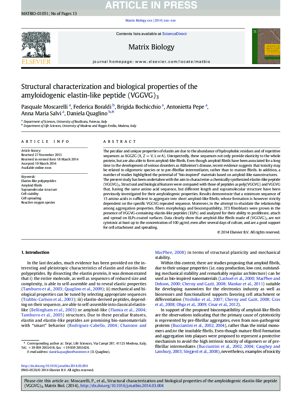 Structural characterization and biological properties of the amyloidogenic elastin-like peptide (VGGVG)3