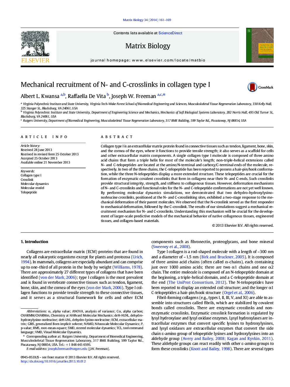 Mechanical recruitment of N- and C-crosslinks in collagen type I