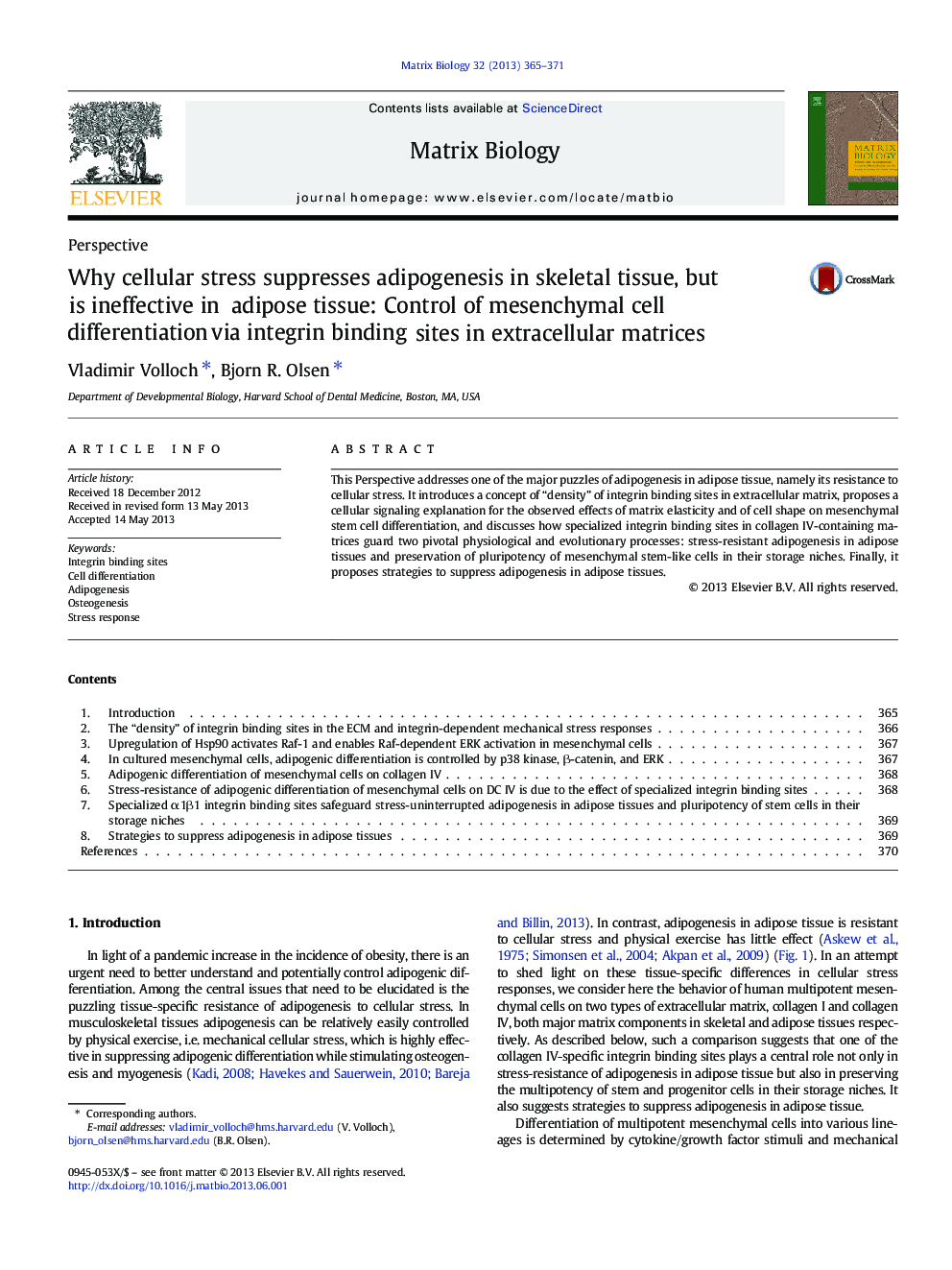 Why cellular stress suppresses adipogenesis in skeletal tissue, but is ineffective in adipose tissue: Control of mesenchymal cell differentiation via integrin binding sites in extracellular matrices