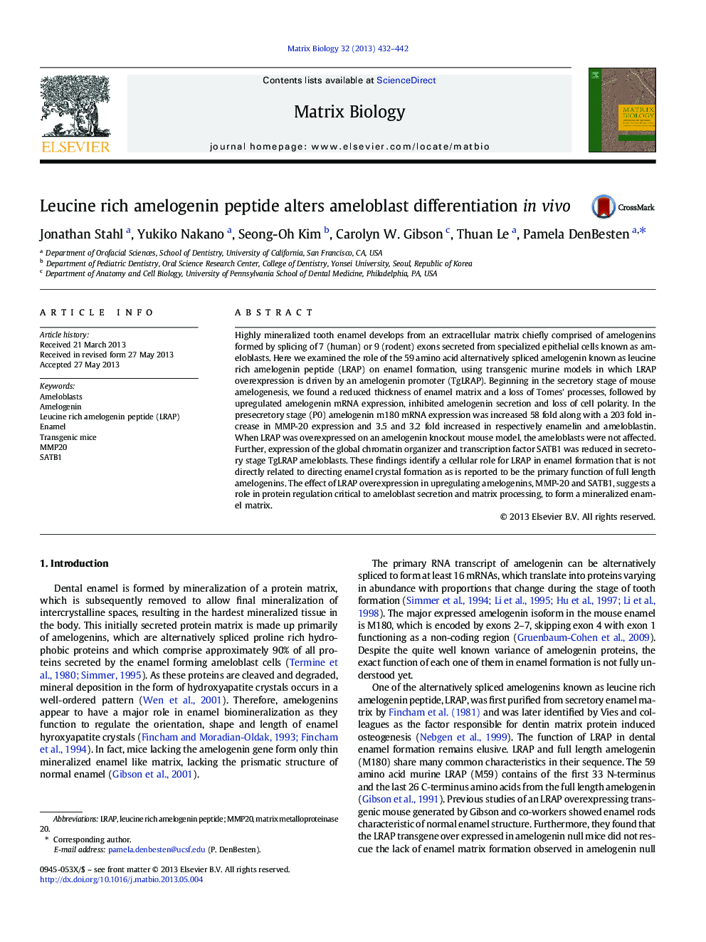 Leucine rich amelogenin peptide alters ameloblast differentiation in vivo