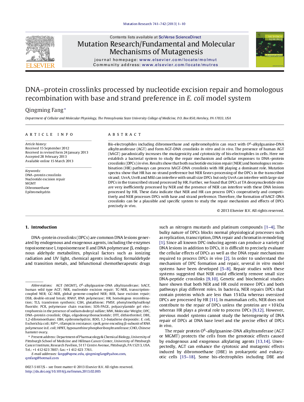 DNA-protein crosslinks processed by nucleotide excision repair and homologous recombination with base and strand preference in E. coli model system