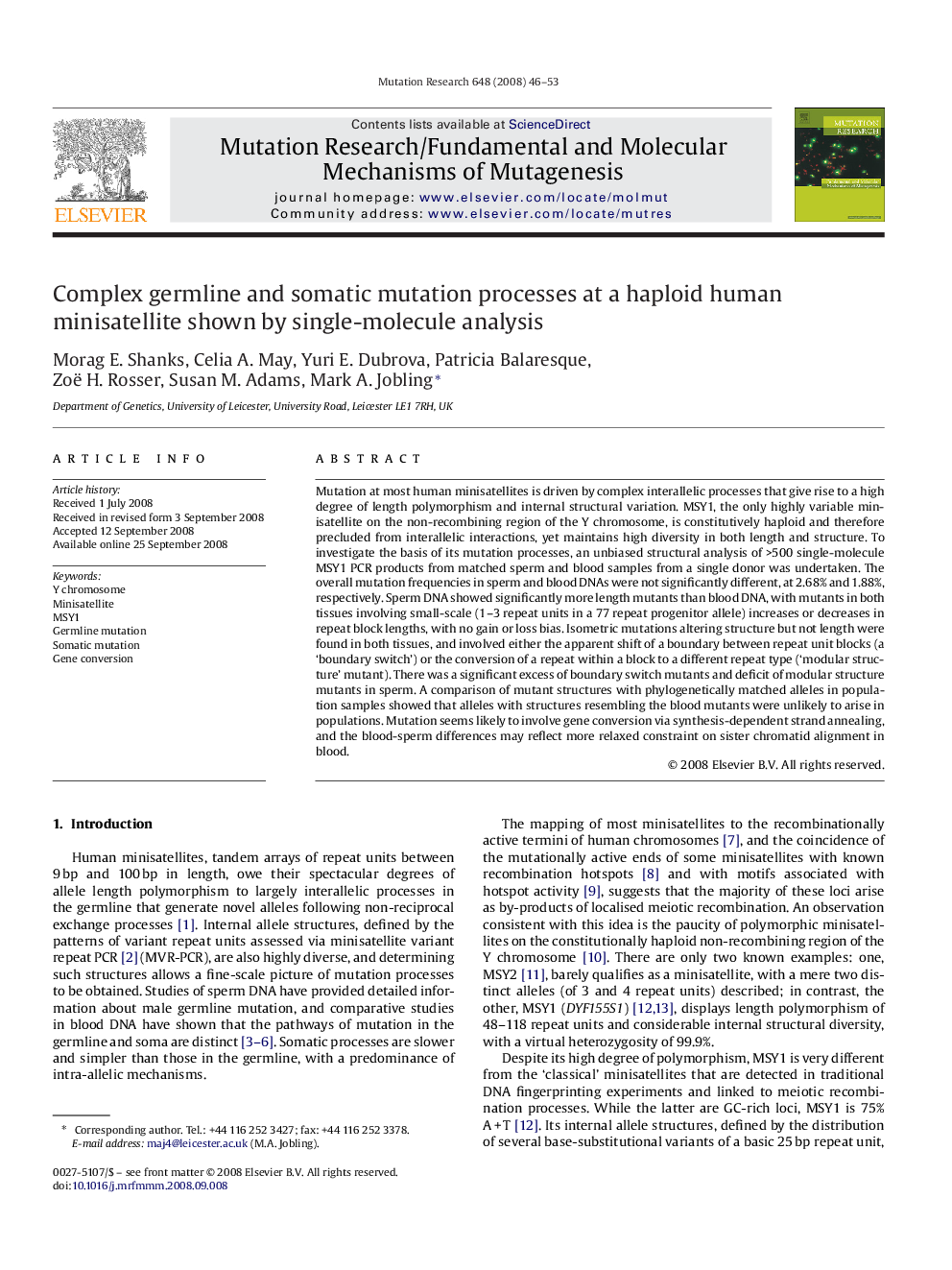 Complex germline and somatic mutation processes at a haploid human minisatellite shown by single-molecule analysis