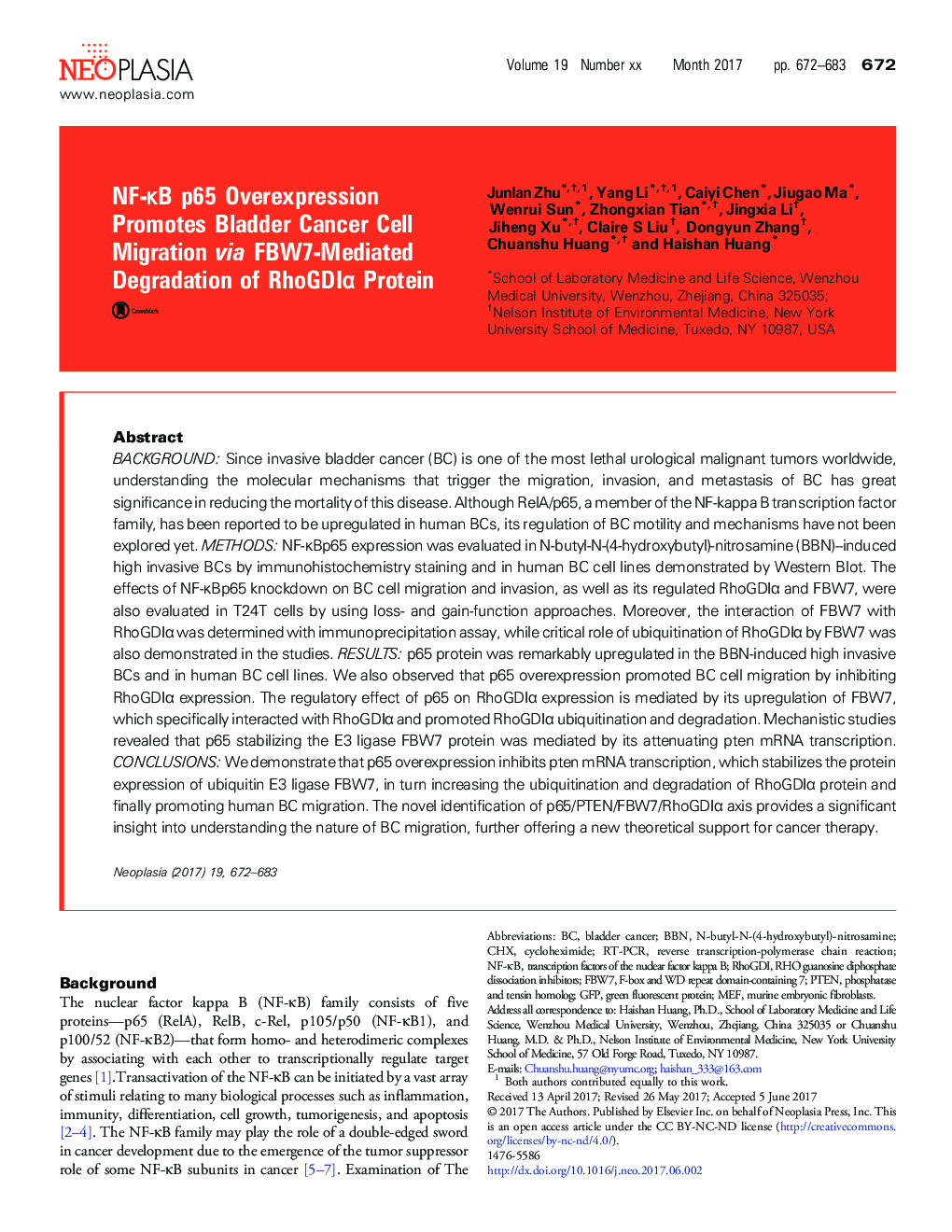 NF-ÎºB p65 Overexpression Promotes Bladder Cancer Cell Migration via FBW7-Mediated Degradation of RhoGDIÎ± Protein