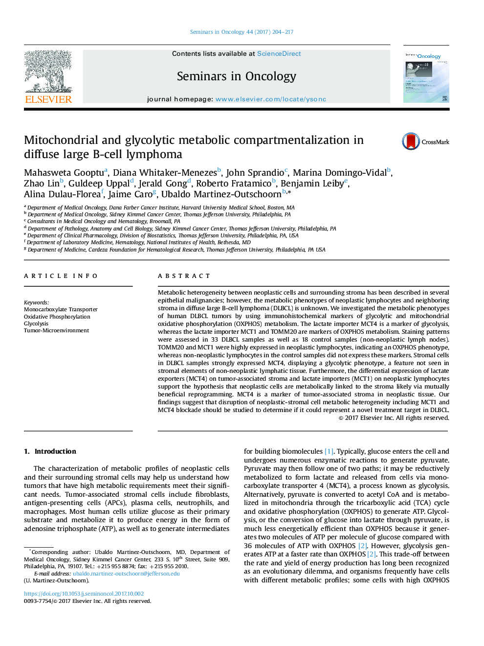 Mitochondrial and glycolytic metabolic compartmentalization in diffuse large B-cell lymphoma