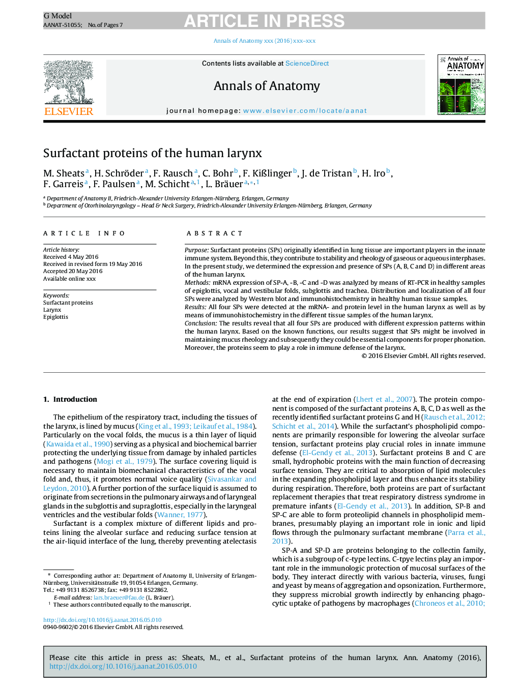 Surfactant proteins of the human larynx