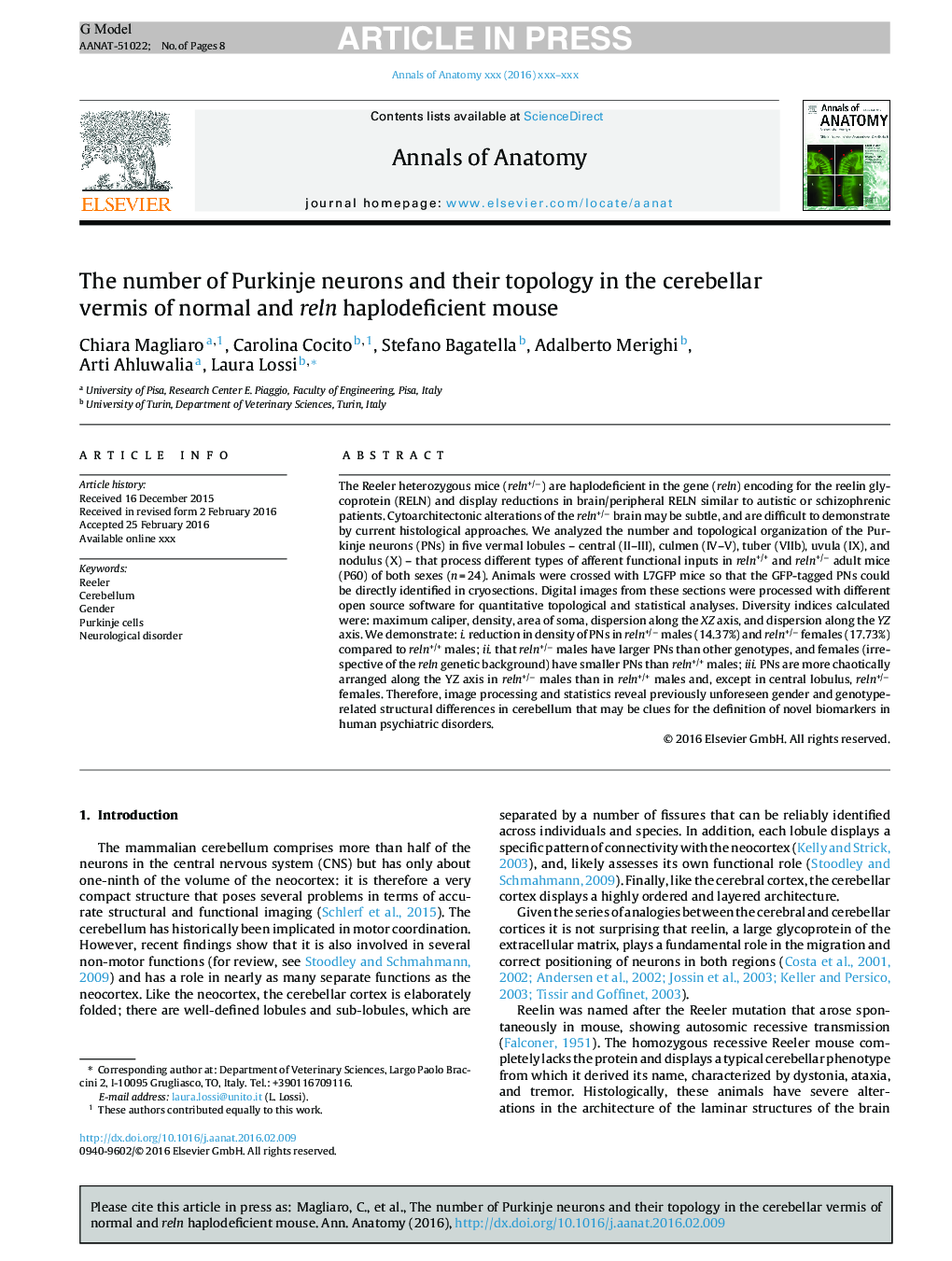 The number of Purkinje neurons and their topology in the cerebellar vermis of normal and reln haplodeficient mouse