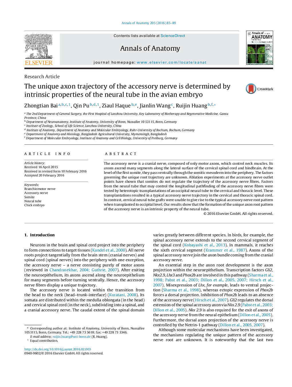 The unique axon trajectory of the accessory nerve is determined by intrinsic properties of the neural tube in the avian embryo