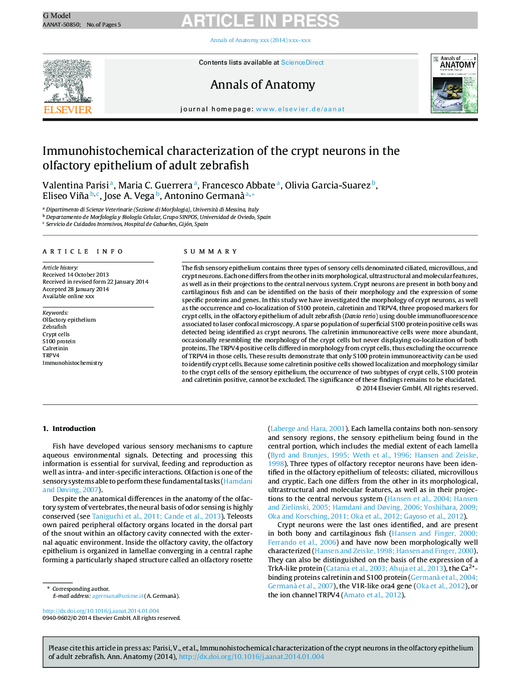 Immunohistochemical characterization of the crypt neurons in the olfactory epithelium of adult zebrafish