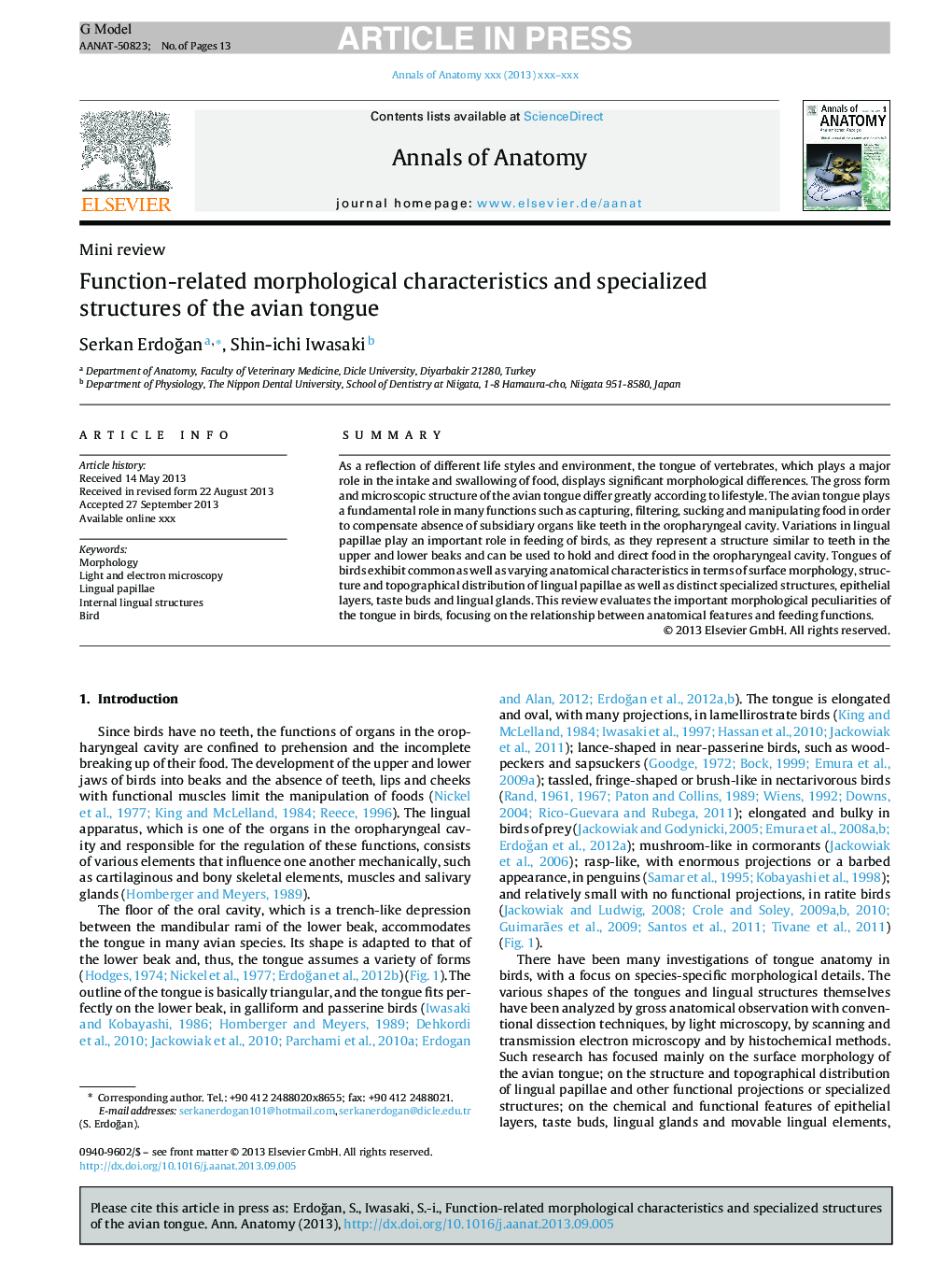 Function-related morphological characteristics and specialized structures of the avian tongue