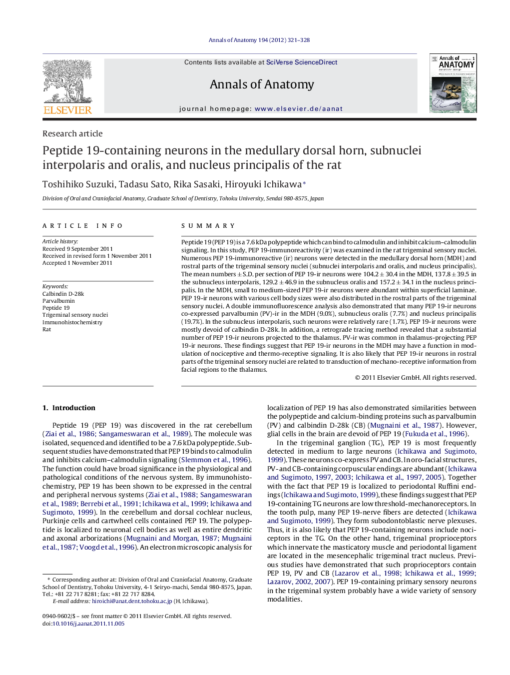 Peptide 19-containing neurons in the medullary dorsal horn, subnuclei interpolaris and oralis, and nucleus principalis of the rat