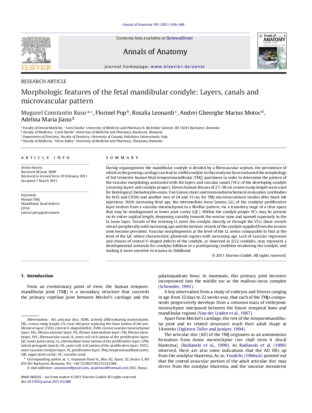 Morphologic features of the fetal mandibular condyle: Layers, canals and microvascular pattern