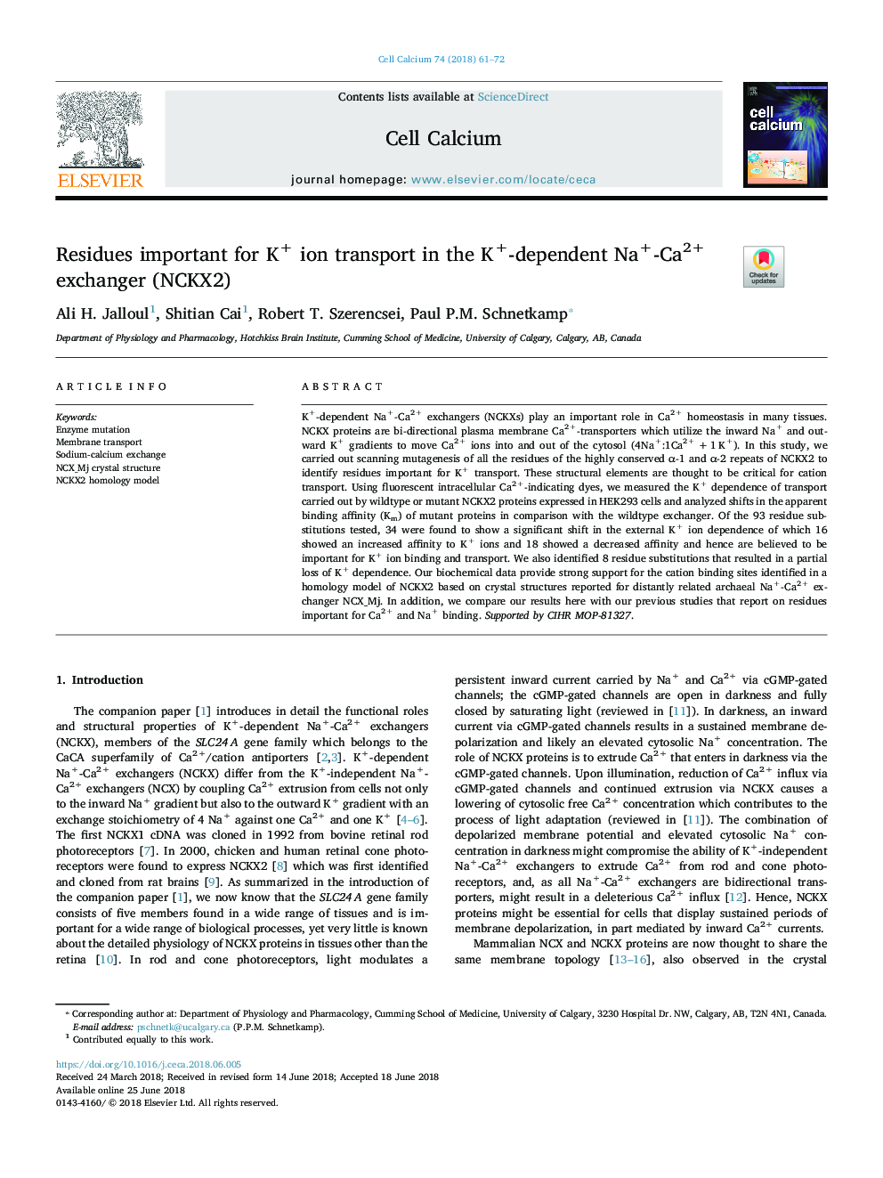 Residues important for K+ ion transport in the K+-dependent Na+-Ca2+ exchanger (NCKX2)