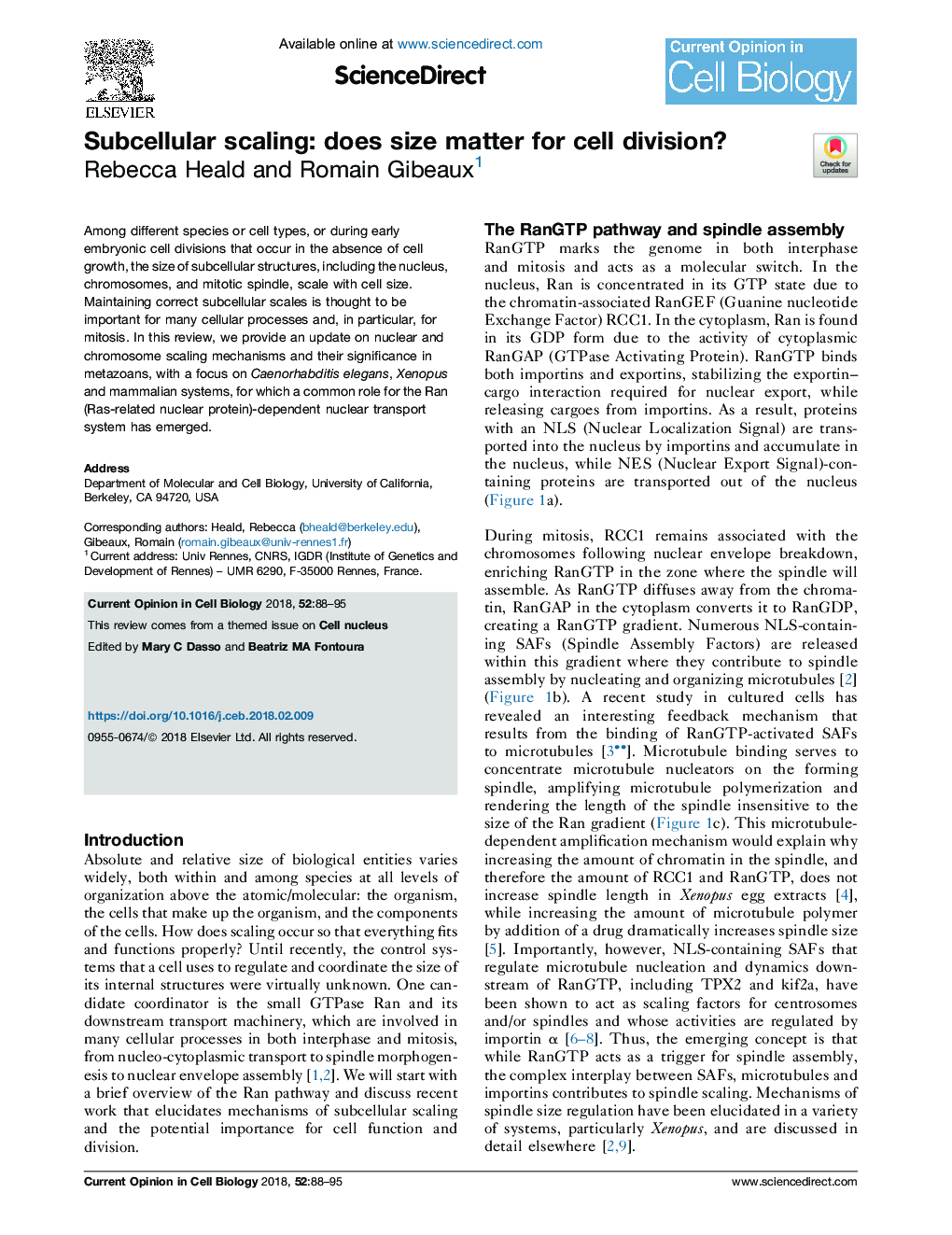 Subcellular scaling: does size matter for cell division?