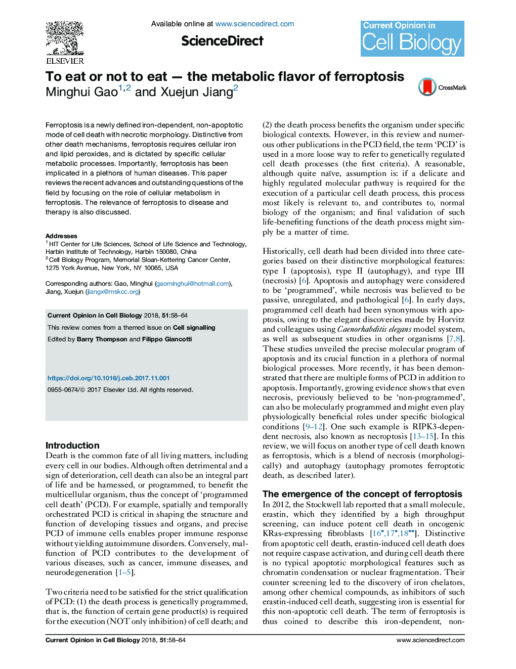 To eat or not to eatÂ -Â the metabolic flavor of ferroptosis