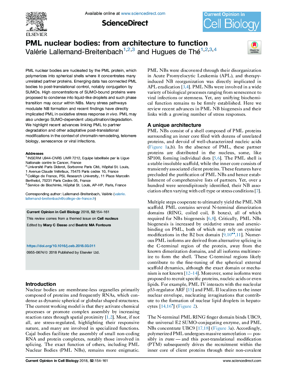 PML nuclear bodies: from architecture to function