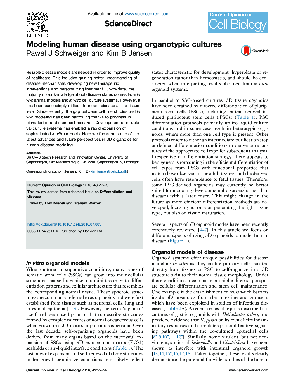 Modeling human disease using organotypic cultures