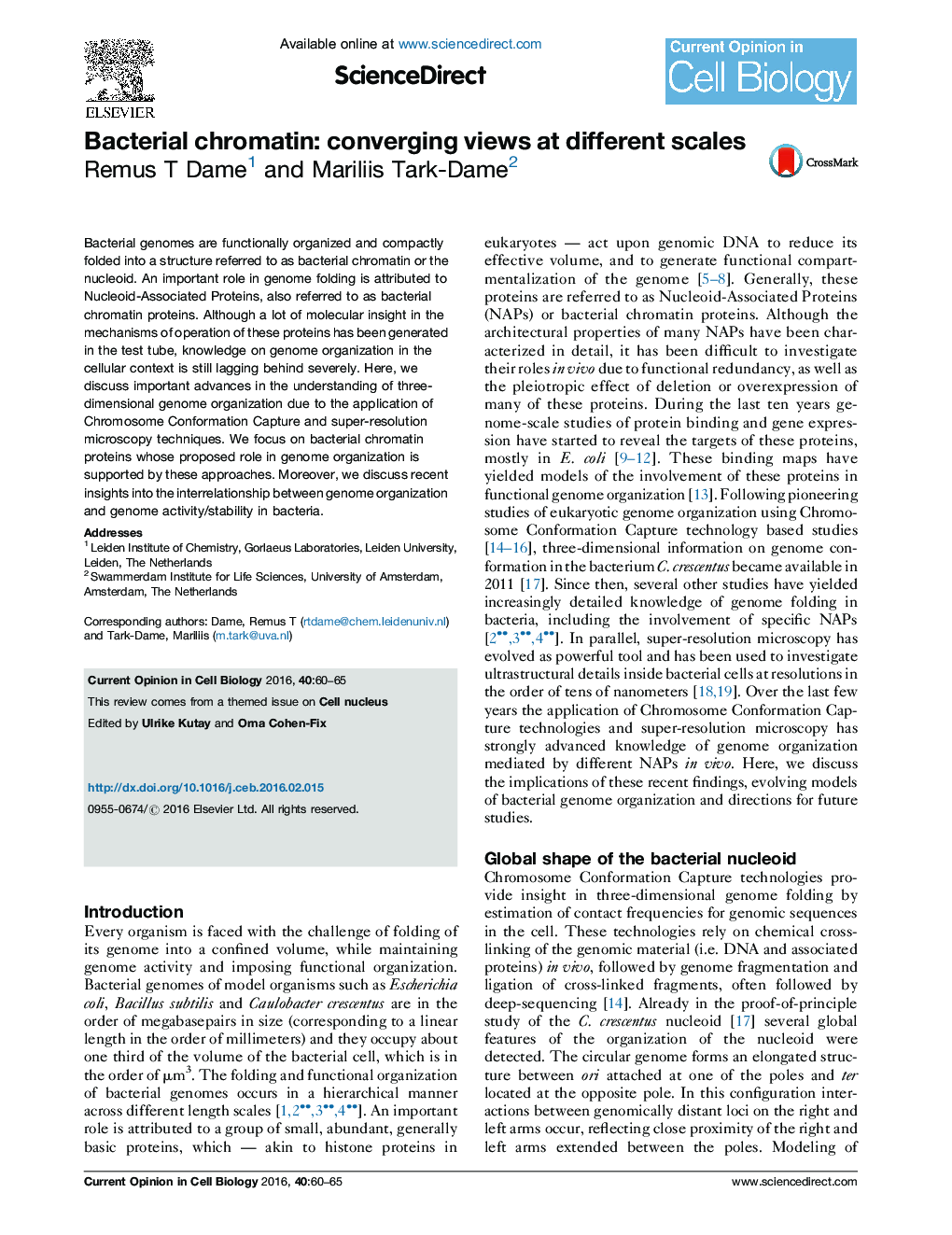 Bacterial chromatin: converging views at different scales