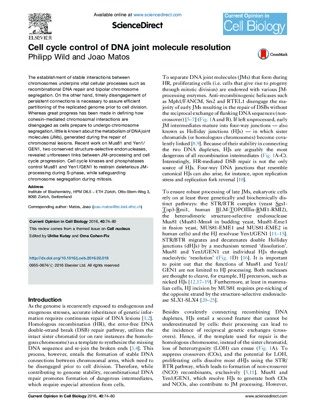 Cell cycle control of DNA joint molecule resolution