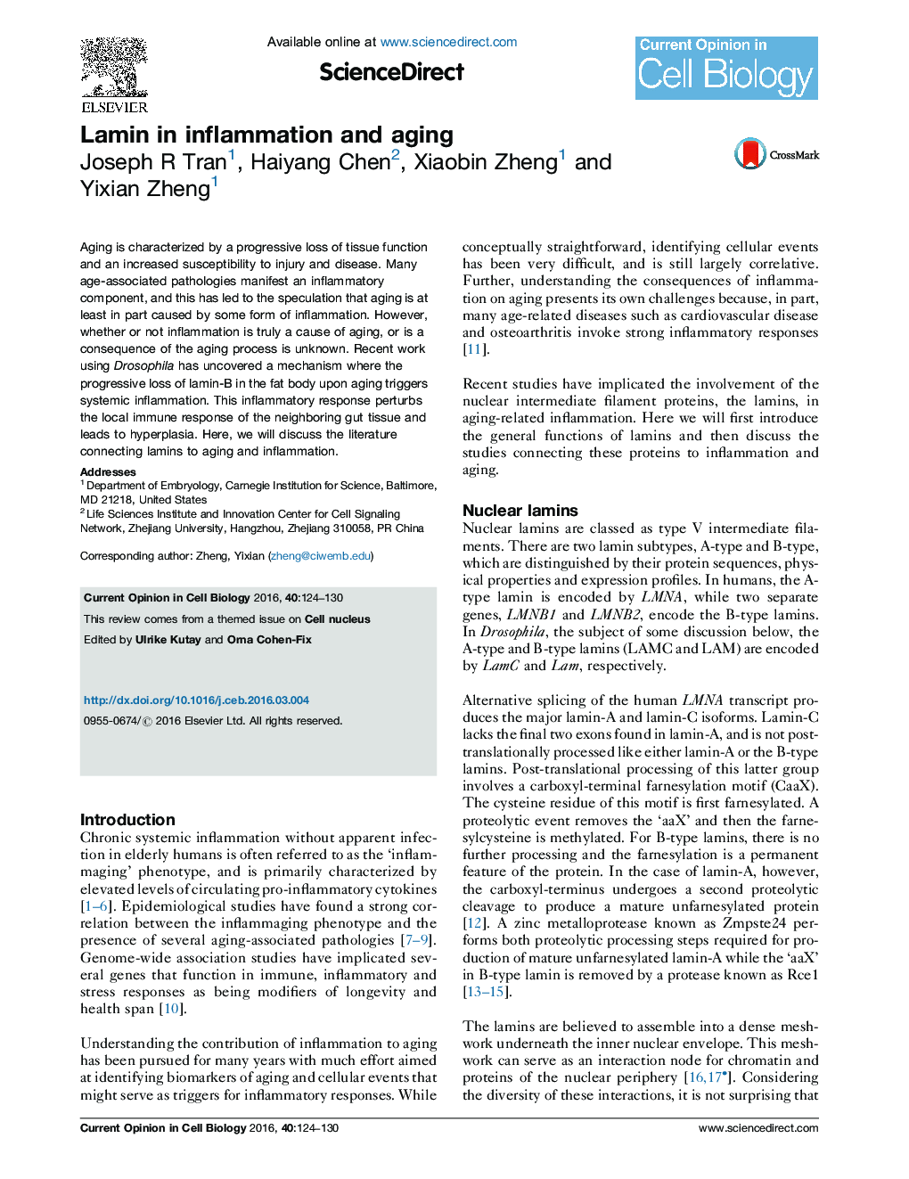 Lamin in inflammation and aging