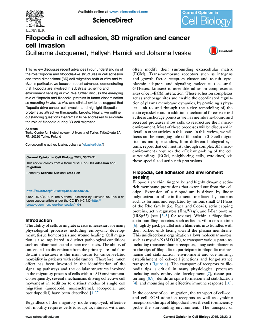 Filopodia in cell adhesion, 3D migration and cancer cell invasion