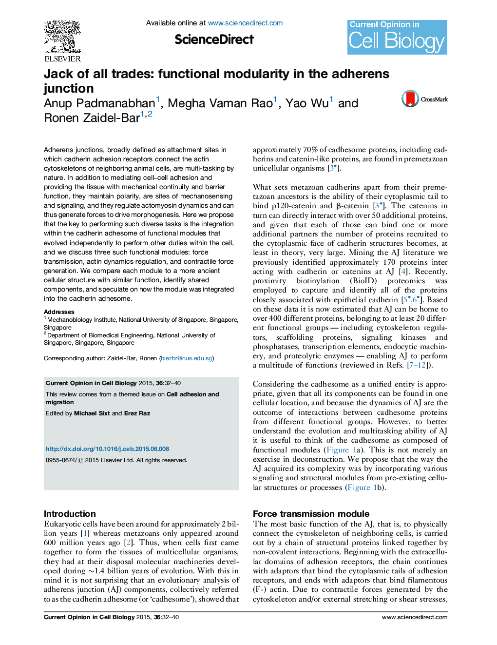 Jack of all trades: functional modularity in the adherens junction