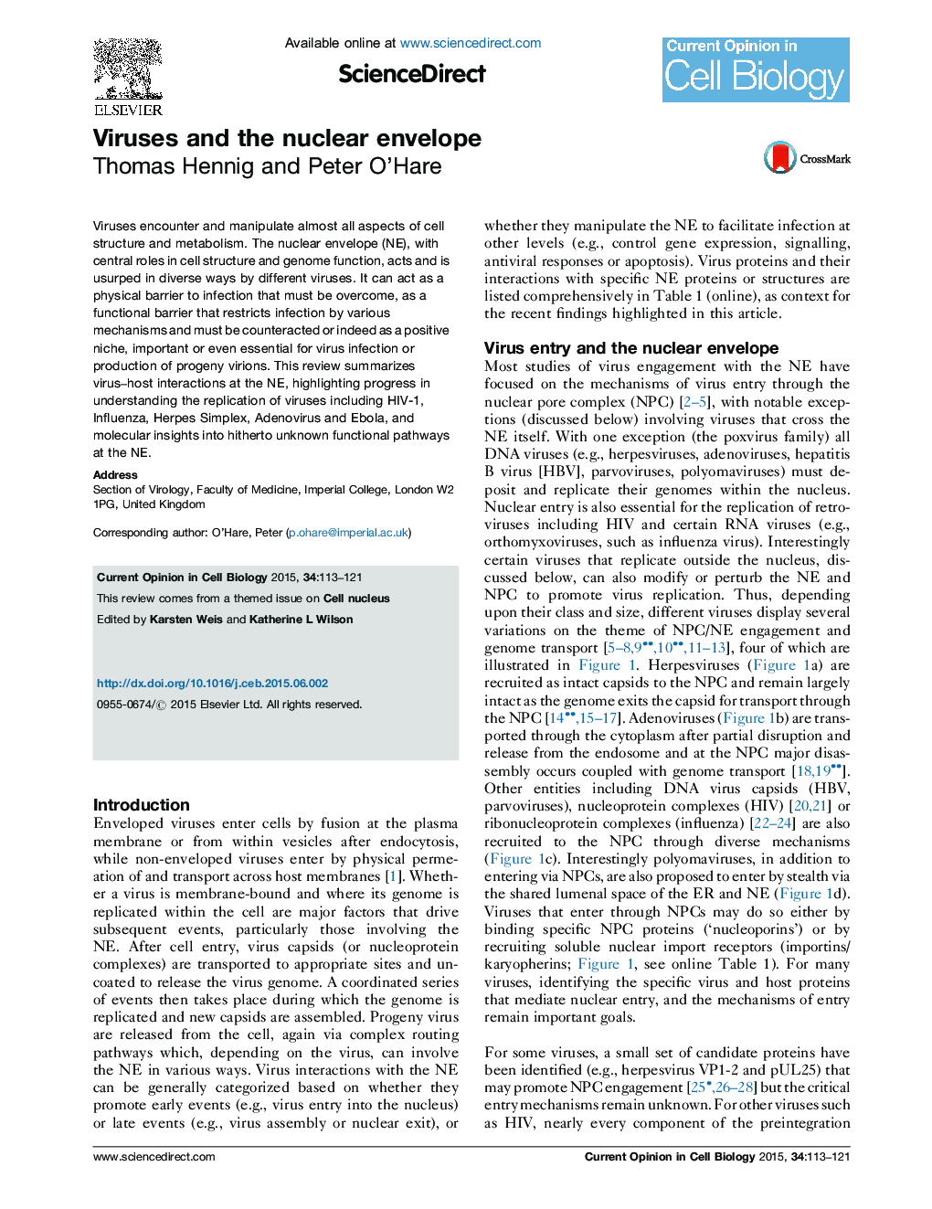 Viruses and the nuclear envelope