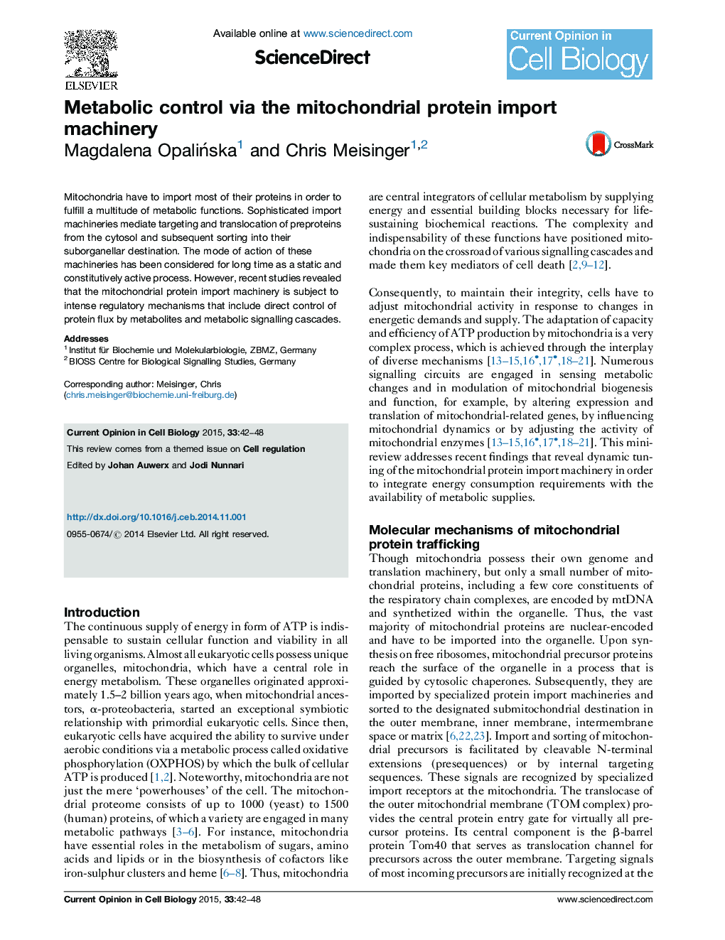 Metabolic control via the mitochondrial protein import machinery