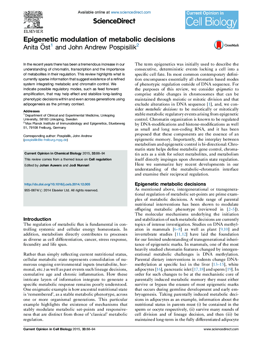 Epigenetic modulation of metabolic decisions