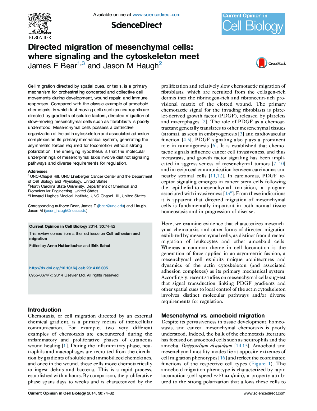 Directed migration of mesenchymal cells: where signaling and the cytoskeleton meet