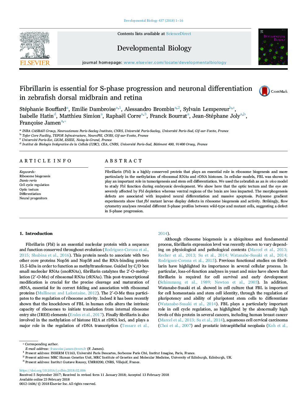 Fibrillarin is essential for S-phase progression and neuronal differentiation in zebrafish dorsal midbrain and retina