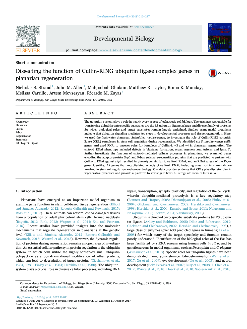 Dissecting the function of Cullin-RING ubiquitin ligase complex genes in planarian regeneration