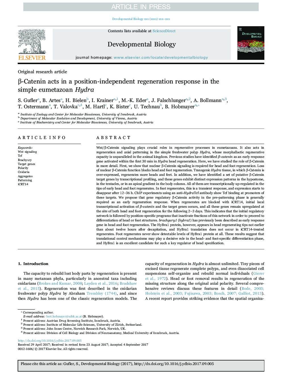 Î²-Catenin acts in a position-independent regeneration response in the simple eumetazoan Hydra